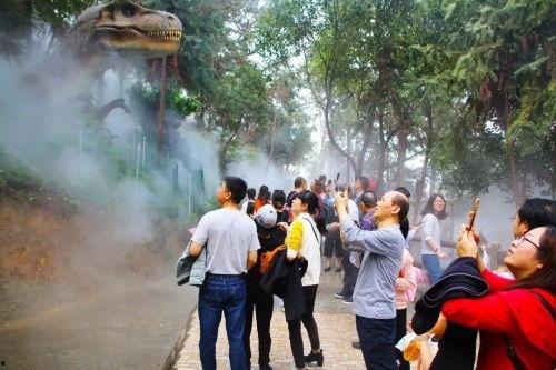 东莞交警吃瓜群众事件,网络舆论与执法边界的风波