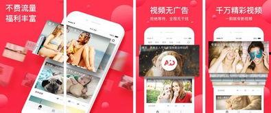 头条怎么对视频重命名啊,轻松掌握视频命名技巧