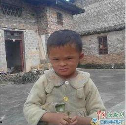 网红小马云疯了,揭秘网红背后的真相与争议