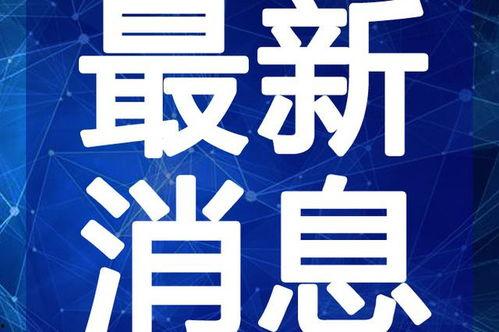 神仙客栈最新爆料视频,神秘事件频发，客栈内幕大揭秘！