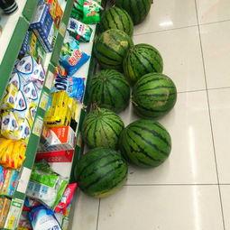 好友比赛吃瓜