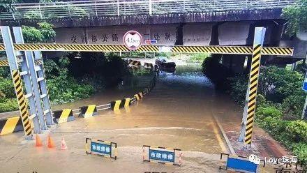 网红瓜的吃瓜群,吃瓜群背后的娱乐江湖