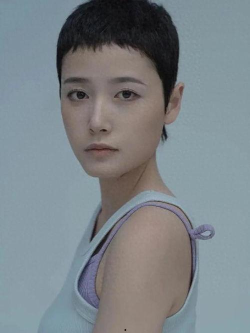 31岁的明星,揭秘当红明星的辉煌历程