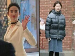 为什么明星拍狗仔,背后的真相与动机