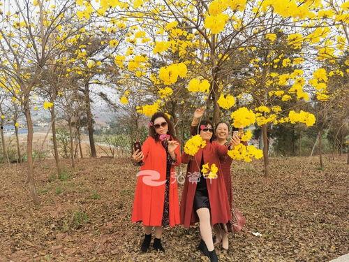 资中免费网红打卡地方,探寻这座古城的时尚魅力新地标