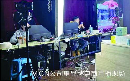 网红投,揭秘网络红人的财富密码