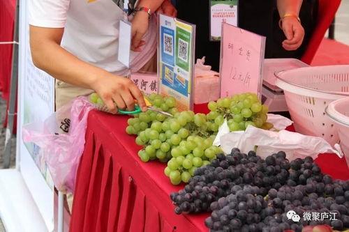 金牛区吃瓜,吃瓜群众的味蕾盛宴