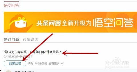 头条中的问答如何下载,如何高效下载文件？n2. 头条问答总结：下载文件的最佳方法指南n3. 头条问答精华：下载文件步骤详解n4. 头条问答要点：轻松下载文件技巧分享n5. 头条问答概览：下载文件快速指南