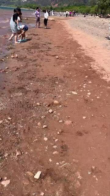 网红沙滩的传说,传说中隐藏的碧海银沙之谜