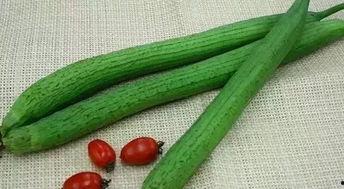 北方的烈阳吃瓜,夏日消暑美食之旅