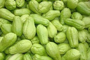 瓜叶还能天天吃,天天享受清新健康