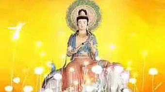 网红的佛歌,网红佛歌传唱万千心灵