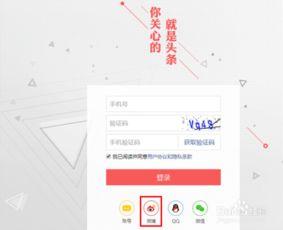 头条如何查看注册手机号,头条注册手机号一键解锁！