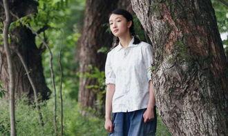 看料瑾瑜,探寻古代智慧之光